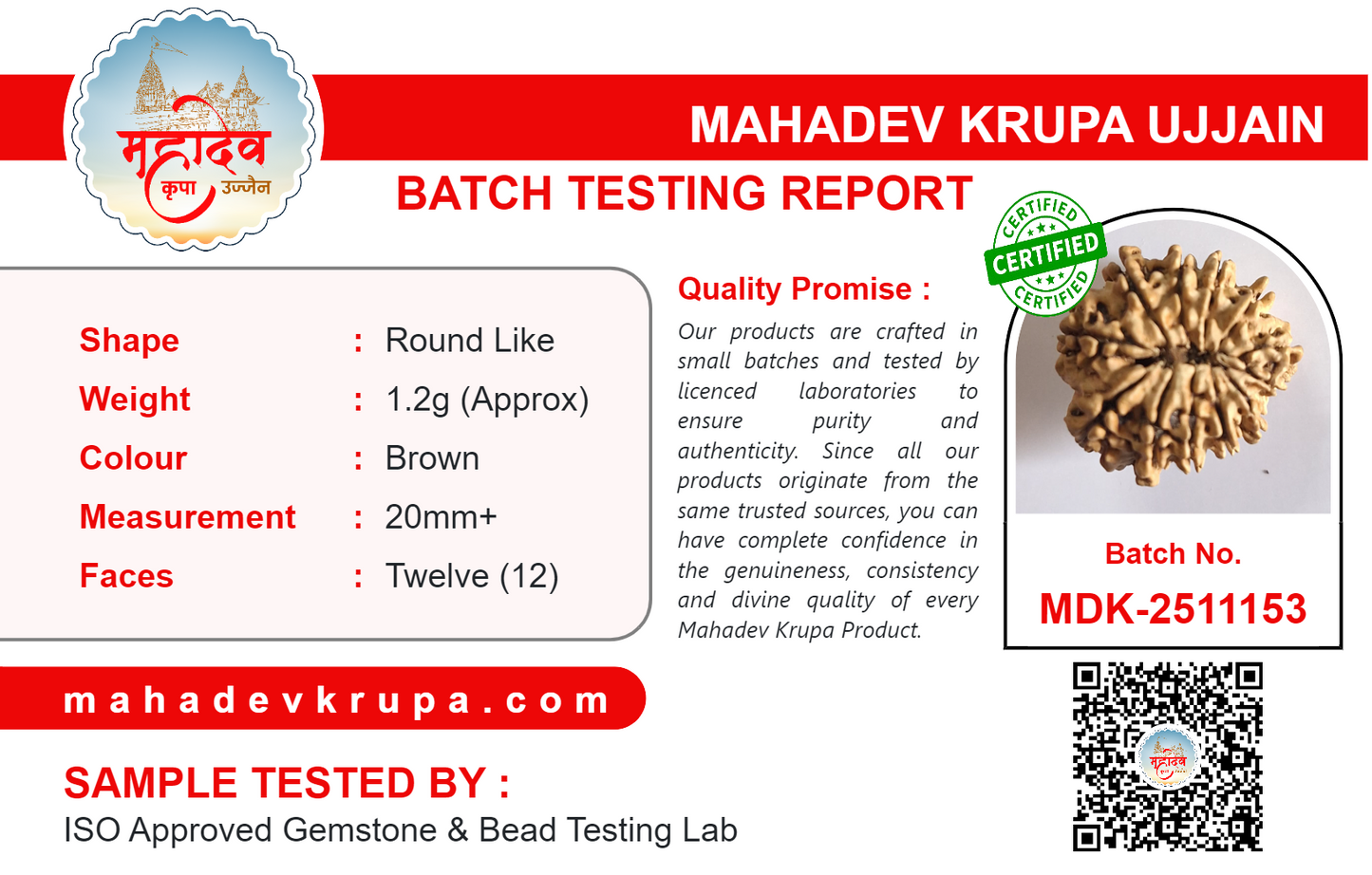 12 Mukhi Rudraksha