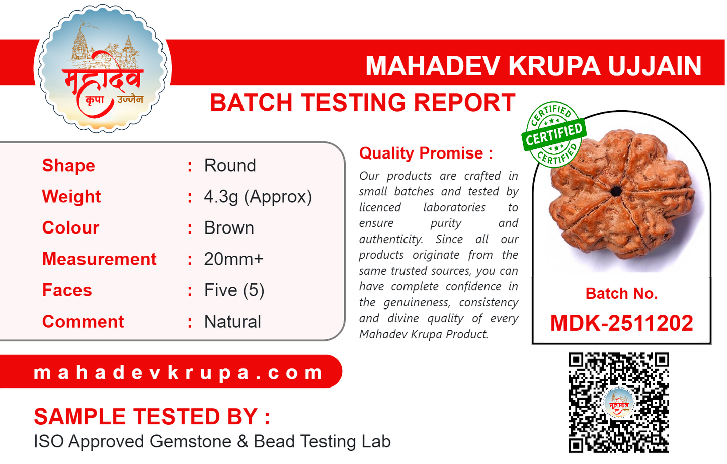 5 Mukhi Rudraksha