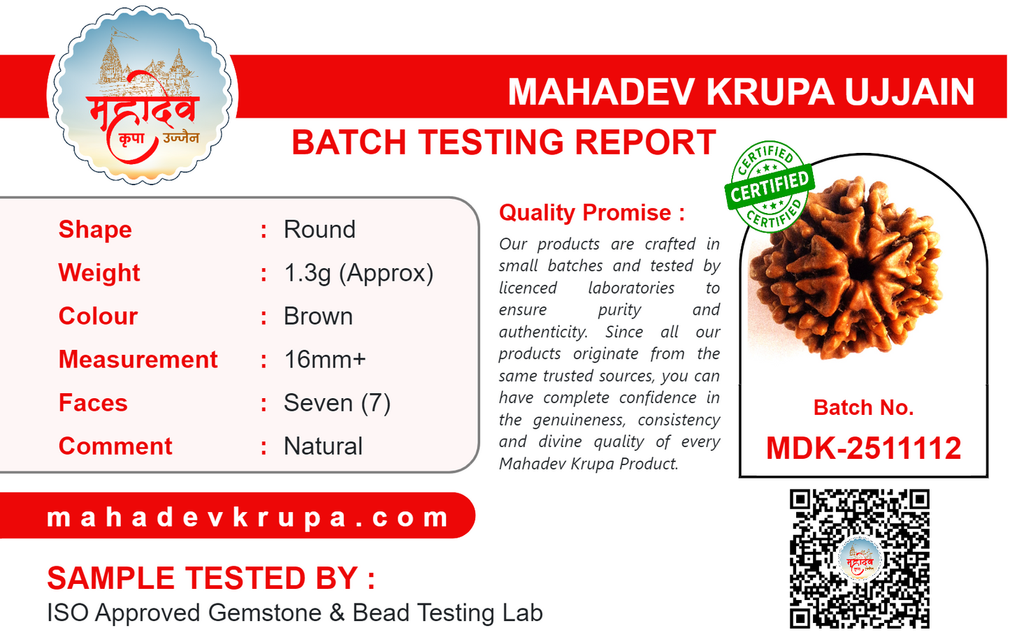 7 Mukhi Rudraksha