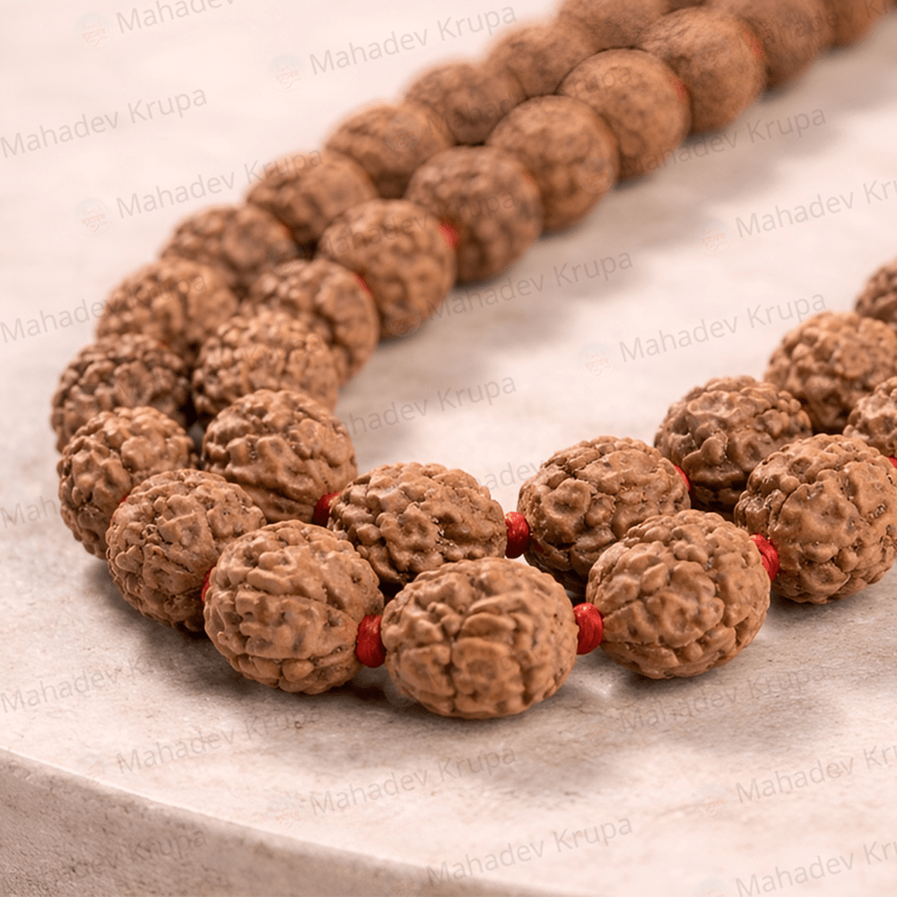 Rudraksha Mala Premium 108+1 – Natural Rudraksha Beads - Spiritual Mala - Mahadev Krupa Ujjain