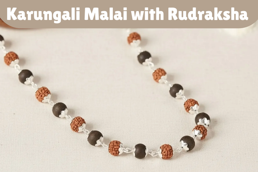 Karungali Mala with Rudraksha