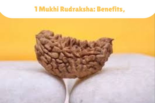 1 Mukhi Rudraksha: Benefits, Who Can Wear It & Powerful Wearing Rules