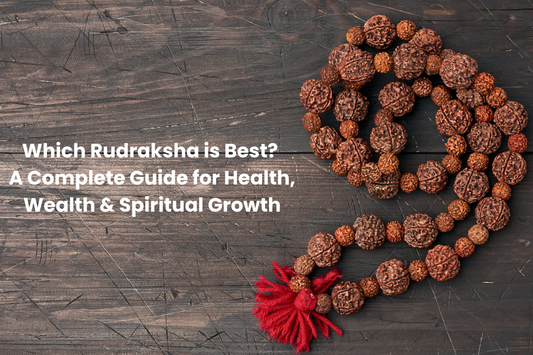 & Guide to Choosing the Right Rudraksha