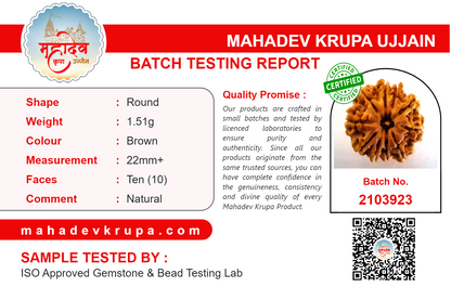 10 Mukhi Rudraksha