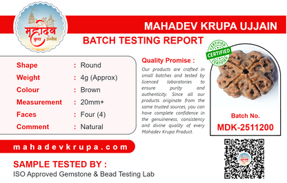 4 Mukhi Rudraksha