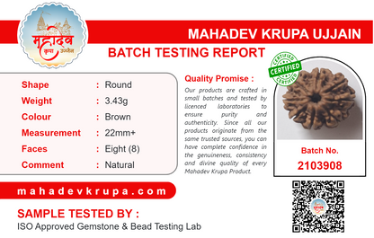8 Mukhi Rudraksha