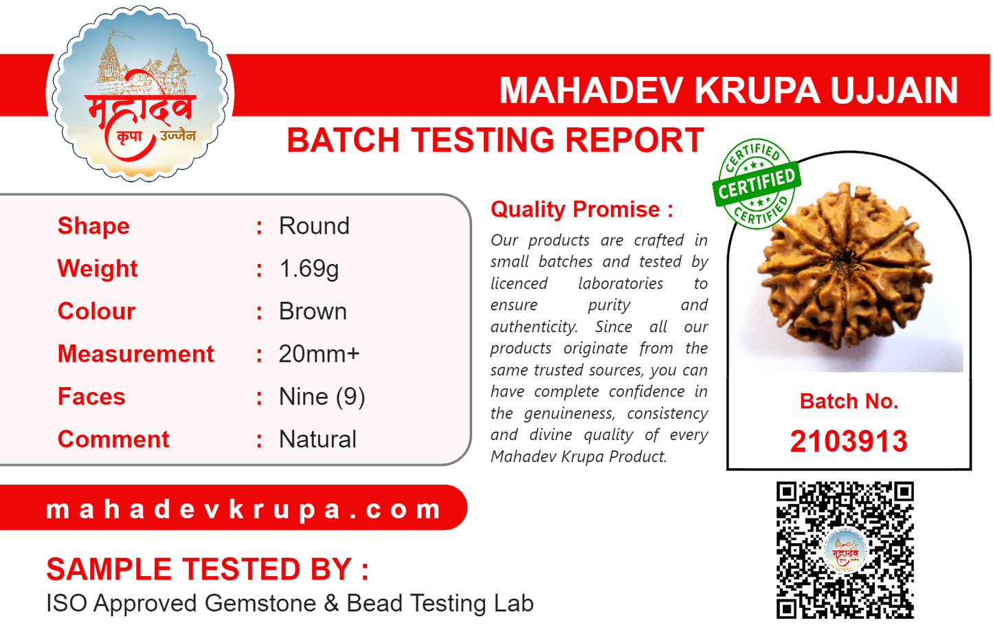 9 Mukhi Rudraksha