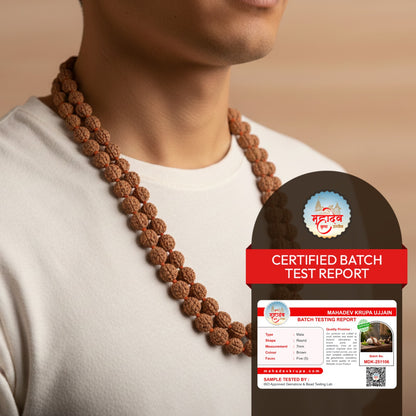 Rudraksha Mala Premium 108+1 – Natural Rudraksha Beads