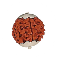 Rudraksha
