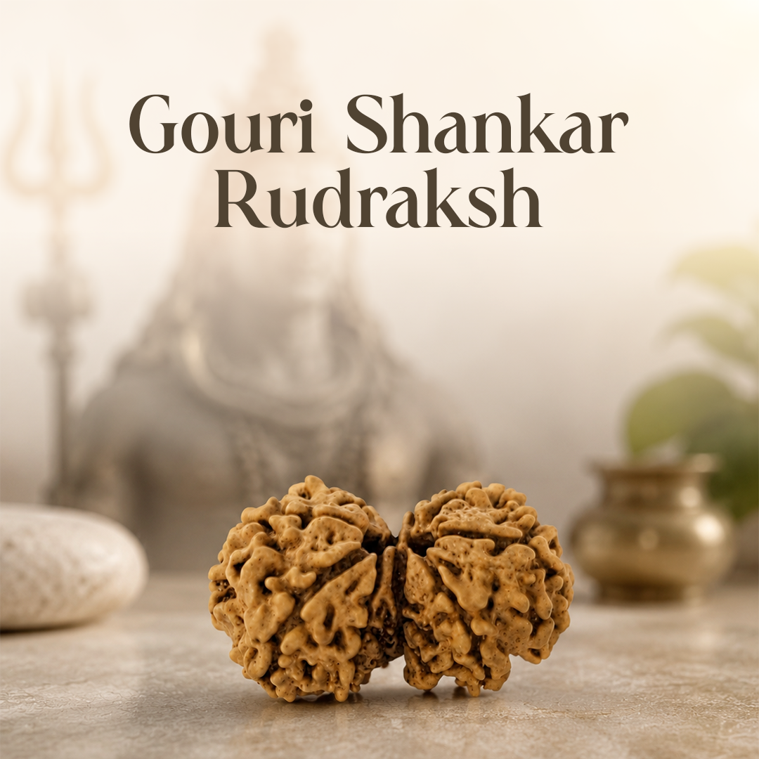 Gouri Shankar Rudraksha