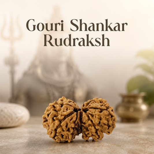 Gouri Shankar Rudraksha