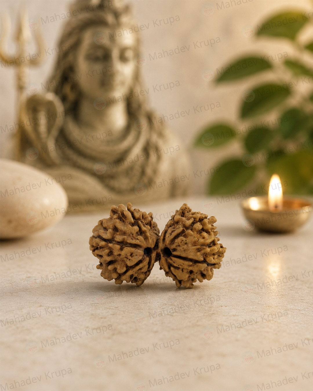 Gouri Shankar Rudraksha