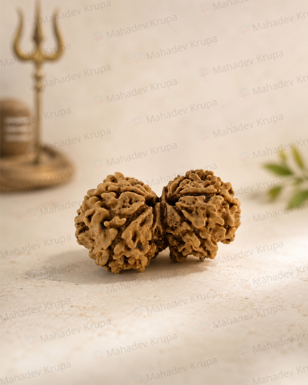 Gouri Shankar Rudraksha