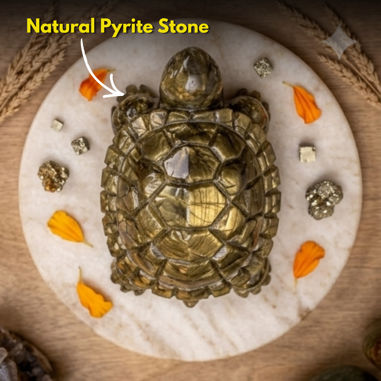 Pyrite Tortoise
