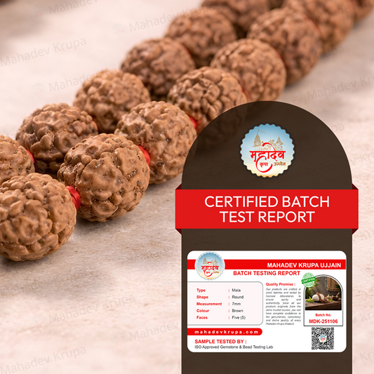 Rudraksha Mala Premium 108+1 – Natural Rudraksha Beads