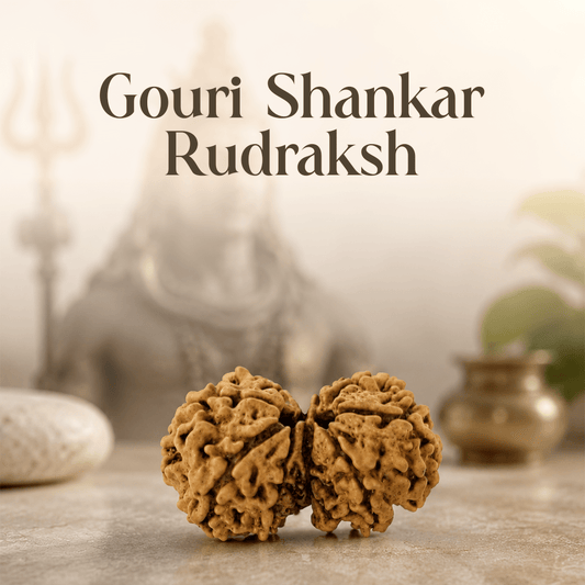 Gouri Shankar Rudraksha - Mahadev Krupa Ujjain