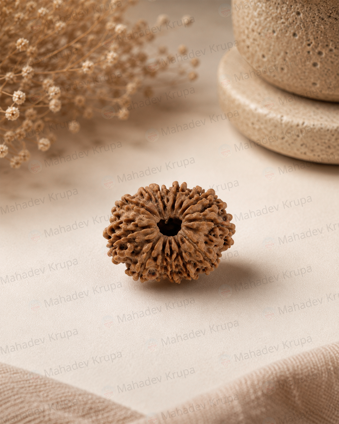 13 Mukhi Rudraksha