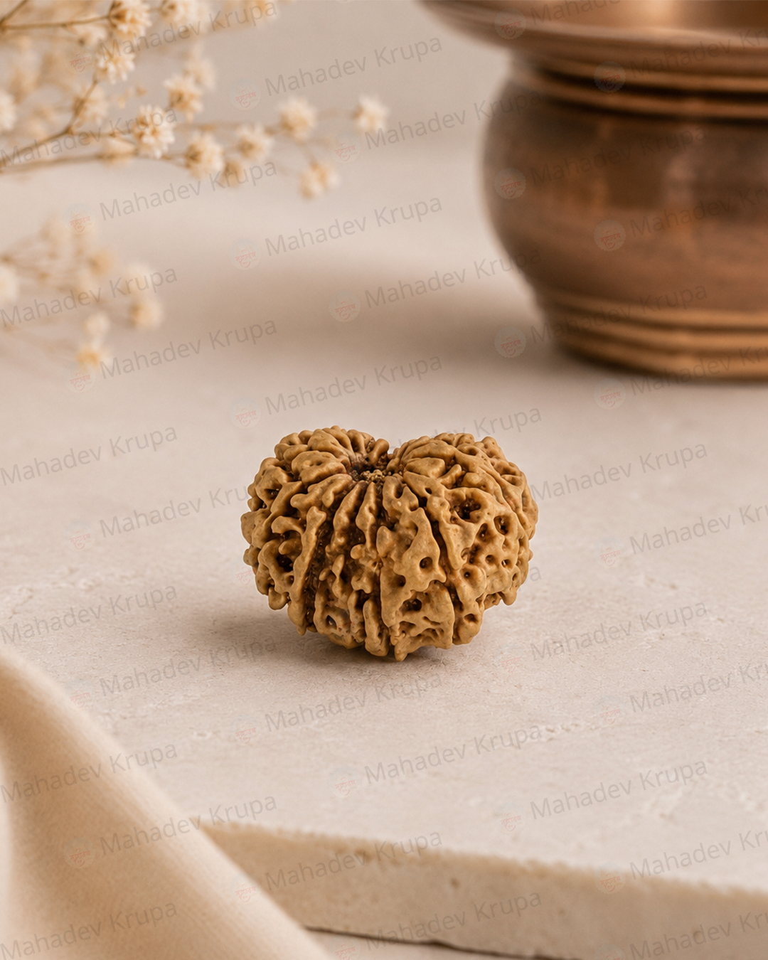 14 Mukhi Rudraksha