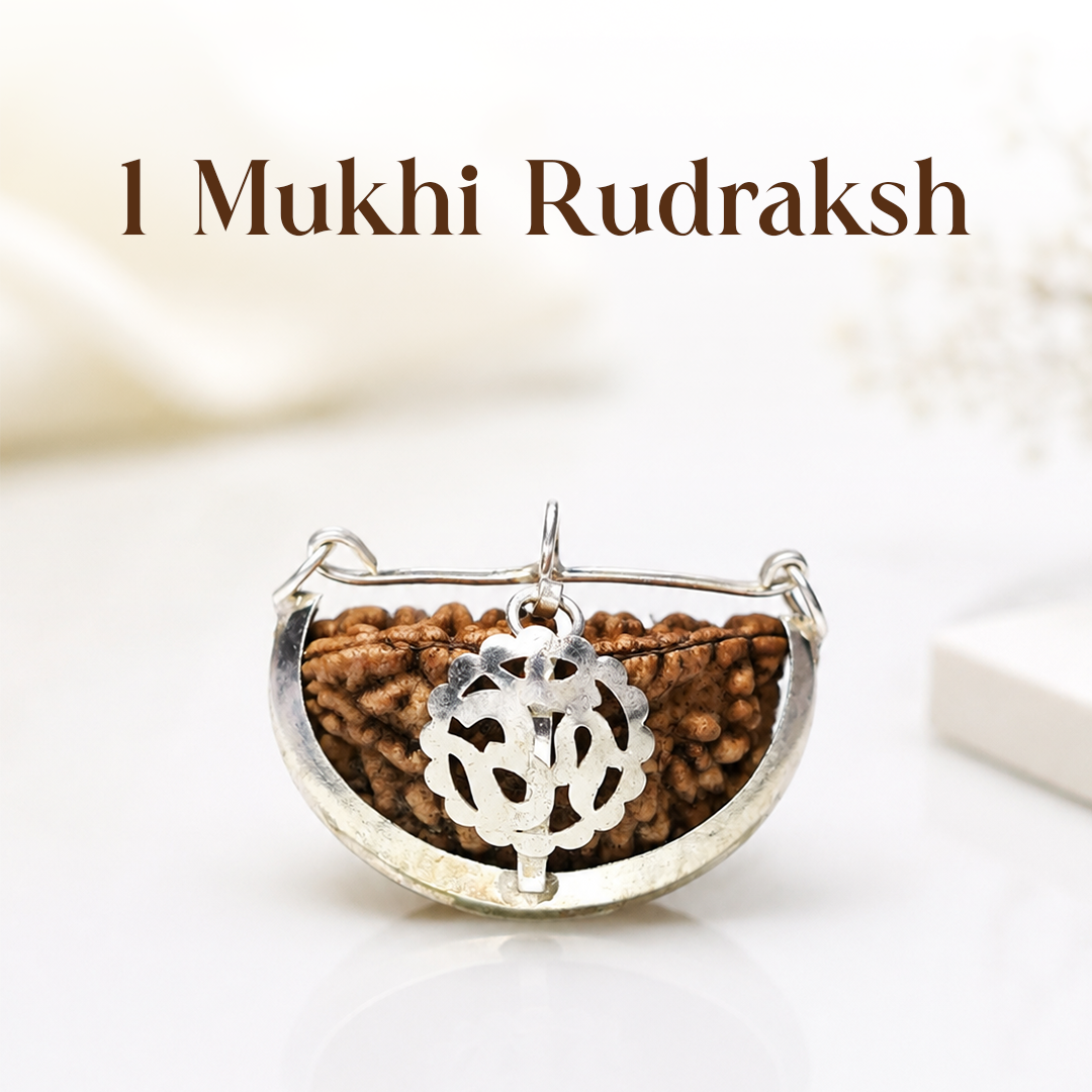 1 Mukhi Rudraksha