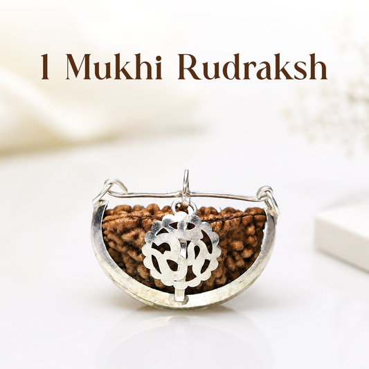 1 Mukhi Rudraksha