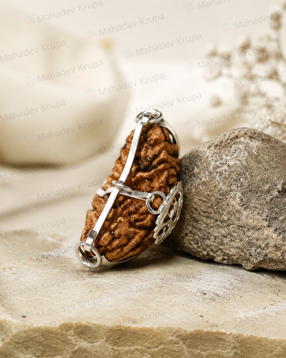 1 Mukhi Rudraksha
