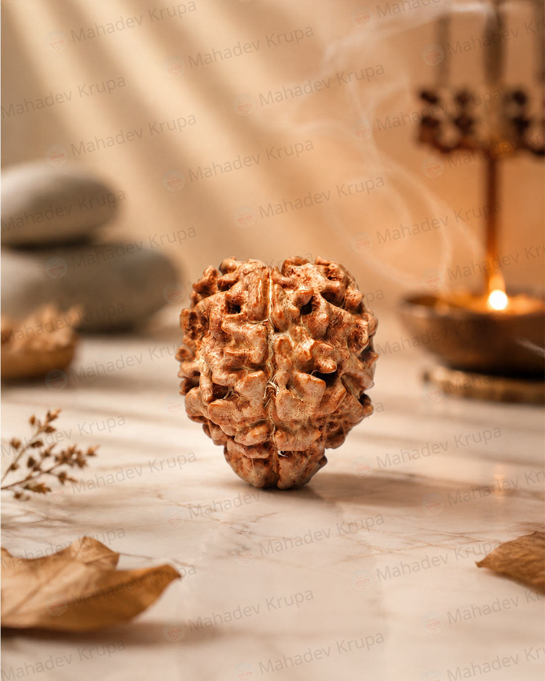 3 Mukhi Rudraksha