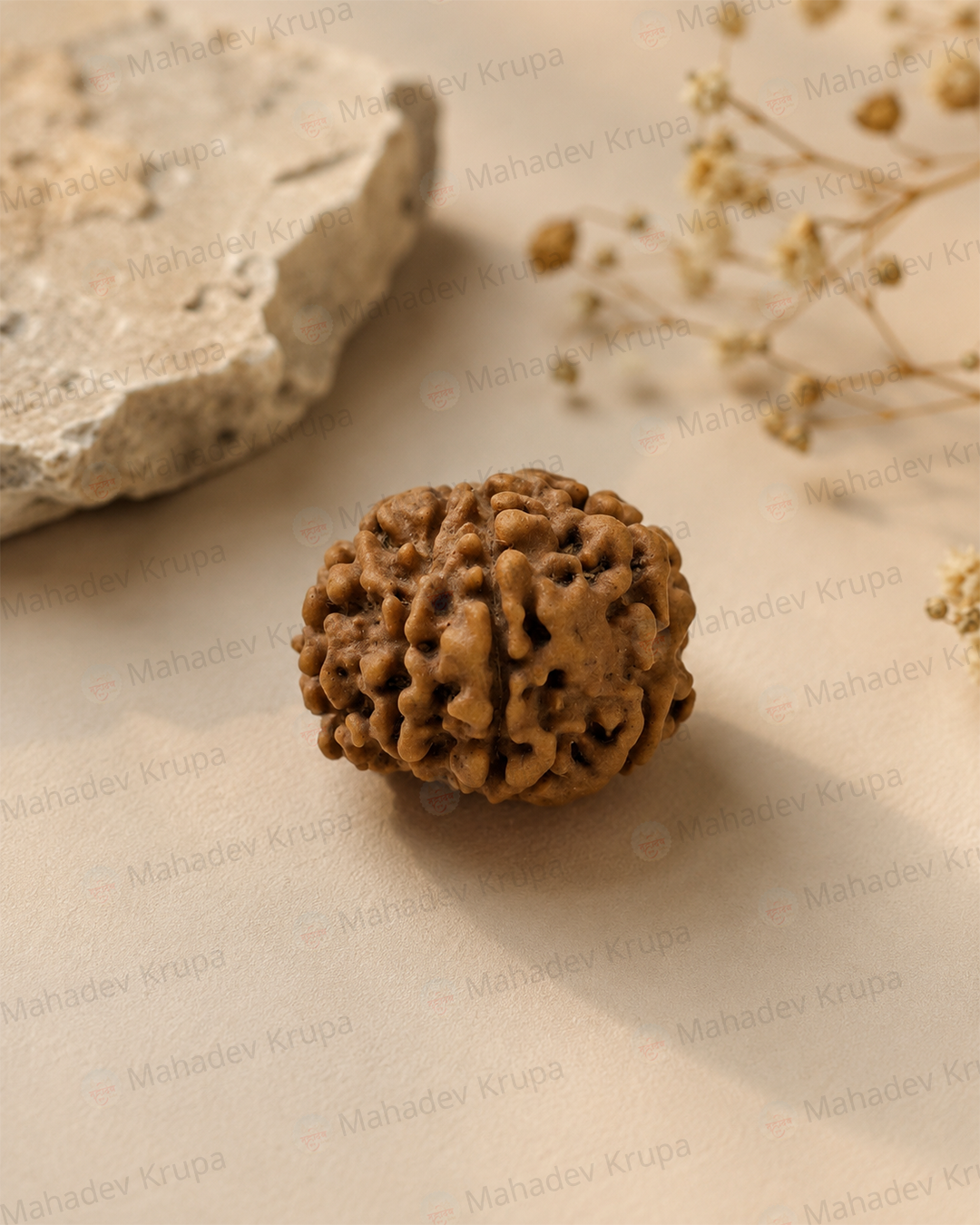 9 Mukhi Rudraksha
