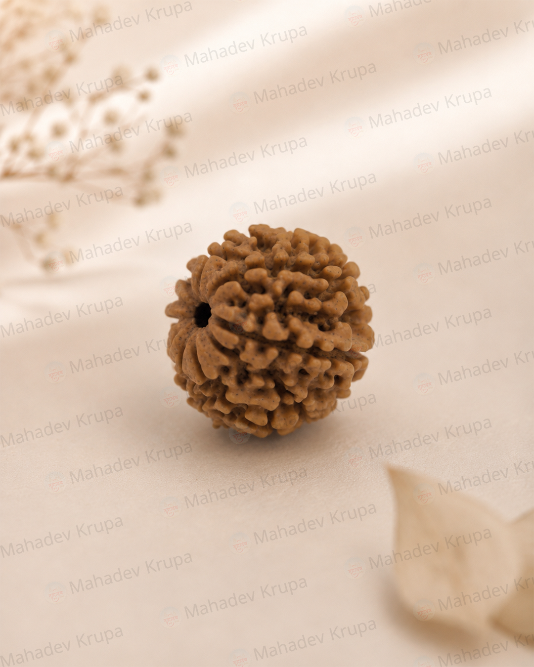 9 Mukhi Rudraksha