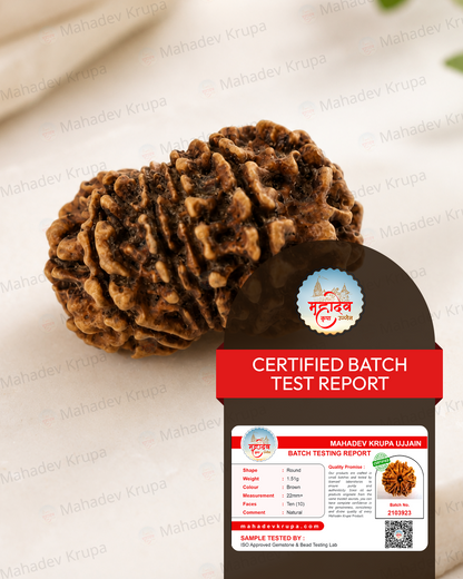 10 Mukhi Rudraksha