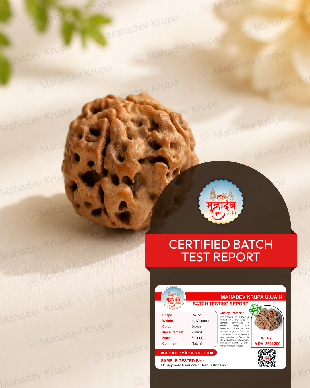 4 Mukhi Rudraksha