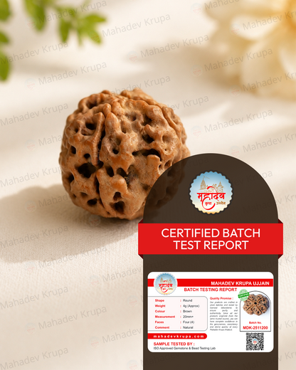 4 Mukhi Rudraksha