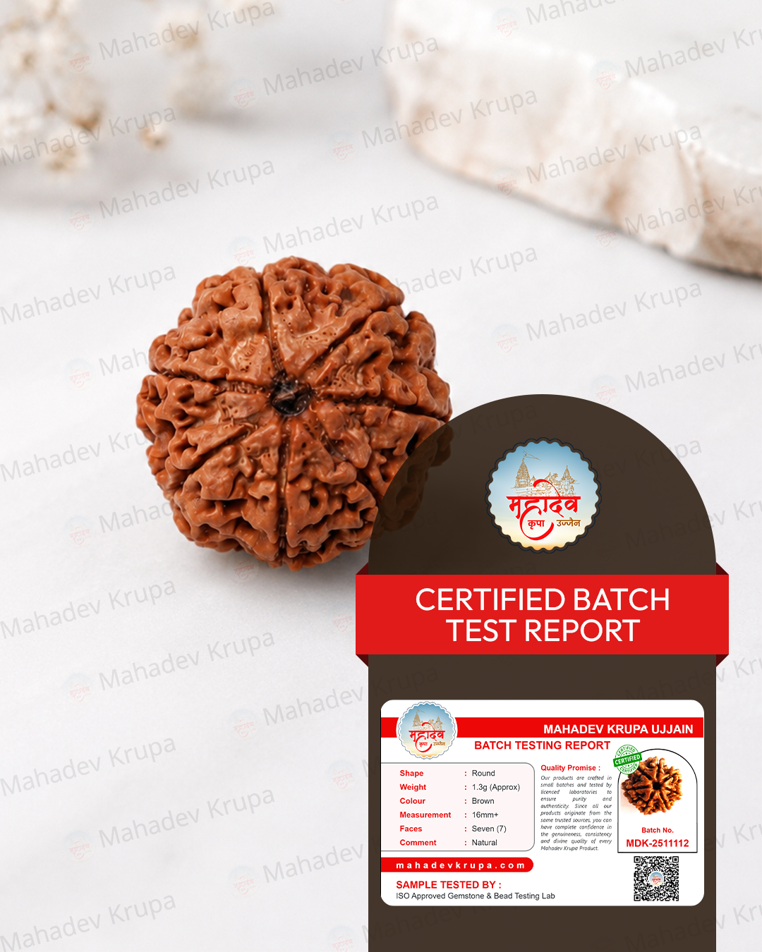 7 Mukhi Rudraksha