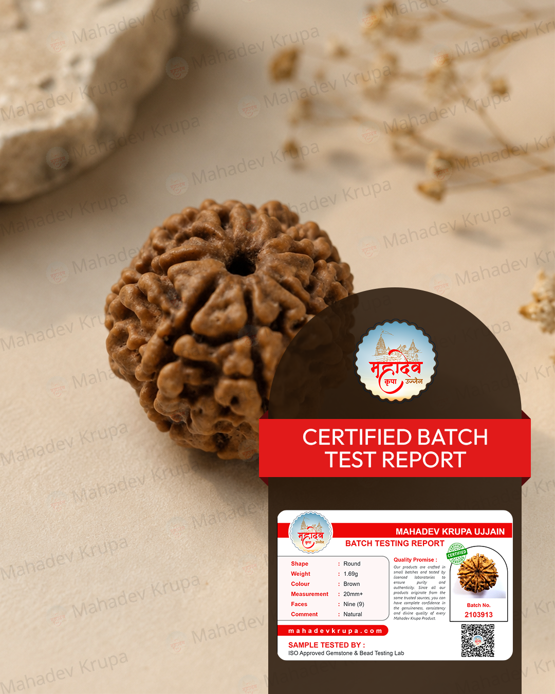 9 Mukhi Rudraksha