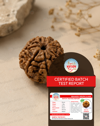 9 Mukhi Rudraksha