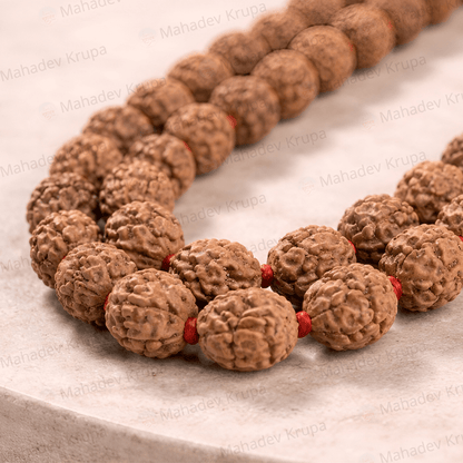 Rudraksha Mala Premium 108+1 – Natural Rudraksha Beads - Spiritual Mala - Mahadev Krupa Ujjain